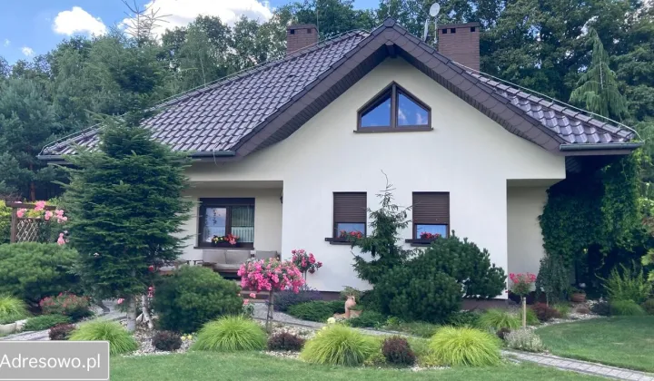 dom wolnostojący, 4 pokoje Borkowice