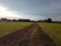 Działka budowlana Wilków Polski. Zdjęcie 1