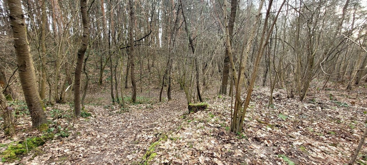 Działka budowlana Ożarów. Zdjęcie 6