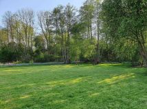 Działka rolno-budowlana Budy Zosine. Zdjęcie 2