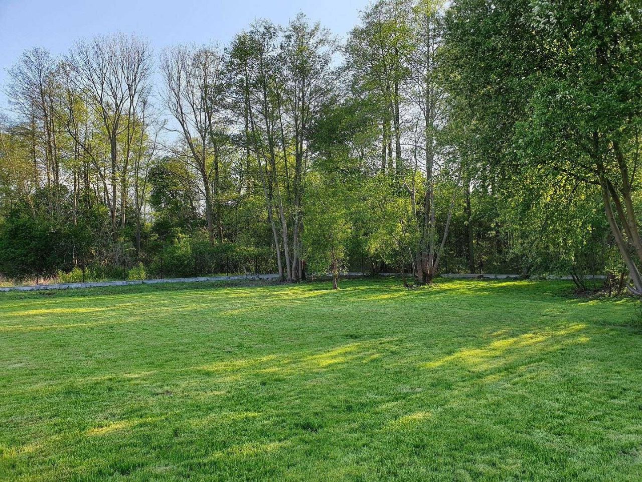 Działka rolno-budowlana Budy Zosine. Zdjęcie 3