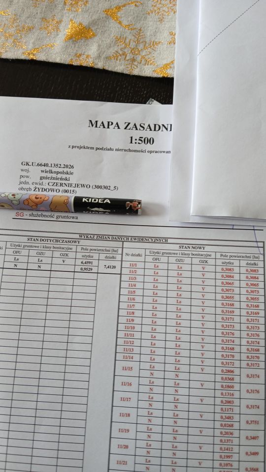 Działka leśna Żydowo. Zdjęcie 12