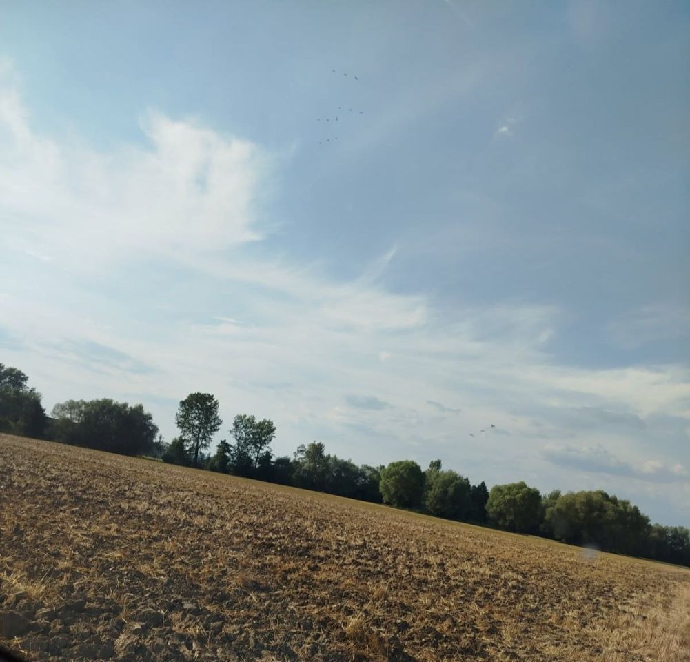 Działka rolna Budziska. Zdjęcie 1
