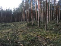 Działka budowlana Zielonka, ul. Koperkowa. Zdjęcie 2