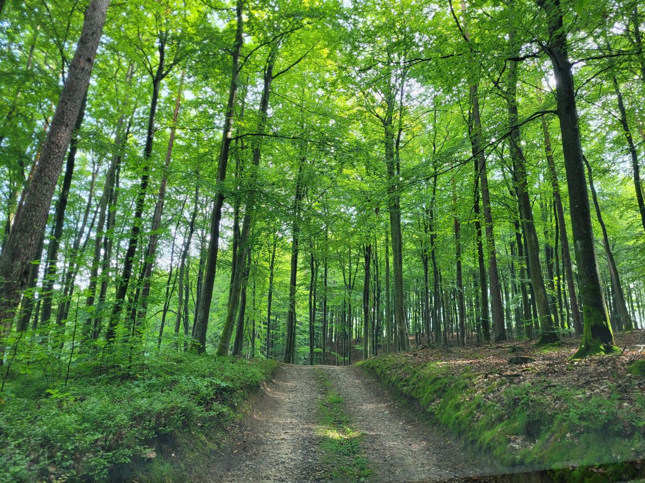 dom wolnostojący, 3 pokoje Sierzno, Sierzno. Zdjęcie 7
