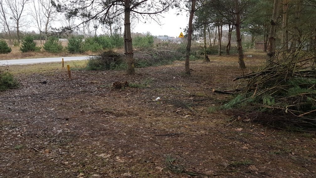 Działka rolno-budowlana Głodowo. Zdjęcie 5