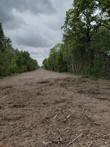 Działka rolna Lubojna, ul. Zielona. Zdjęcie 1