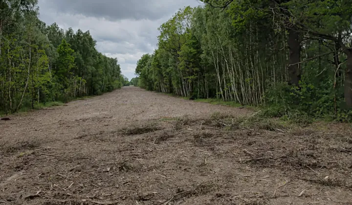 Działka rolna Lubojna, ul. Zielona