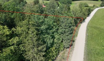 Działka leśna Trygort