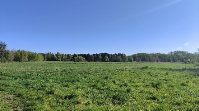 Działka rolno-budowlana Wielki Wełcz. Zdjęcie 1