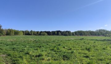 Działka rolno-budowlana Wielki Wełcz