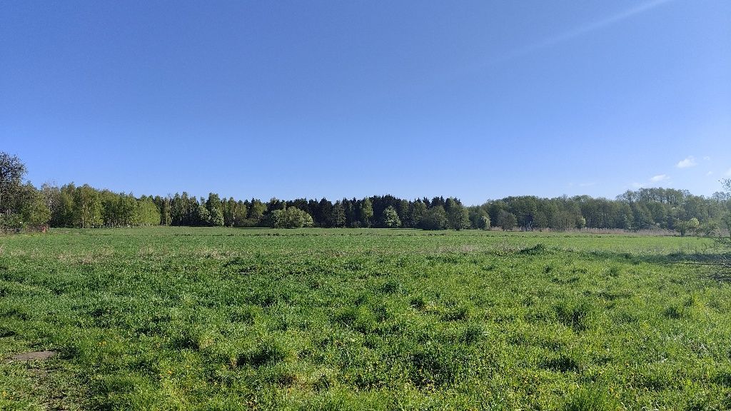 Działka rolno-budowlana Wielki Wełcz