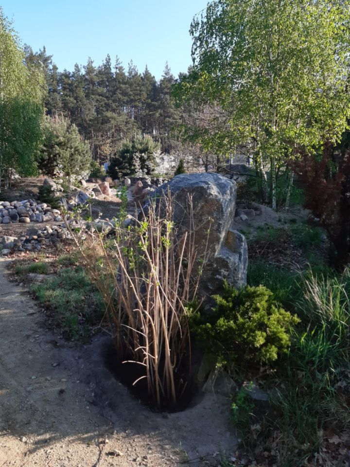 Działka budowlana Podbiel Krupińskie, Sosnowa. Zdjęcie 27