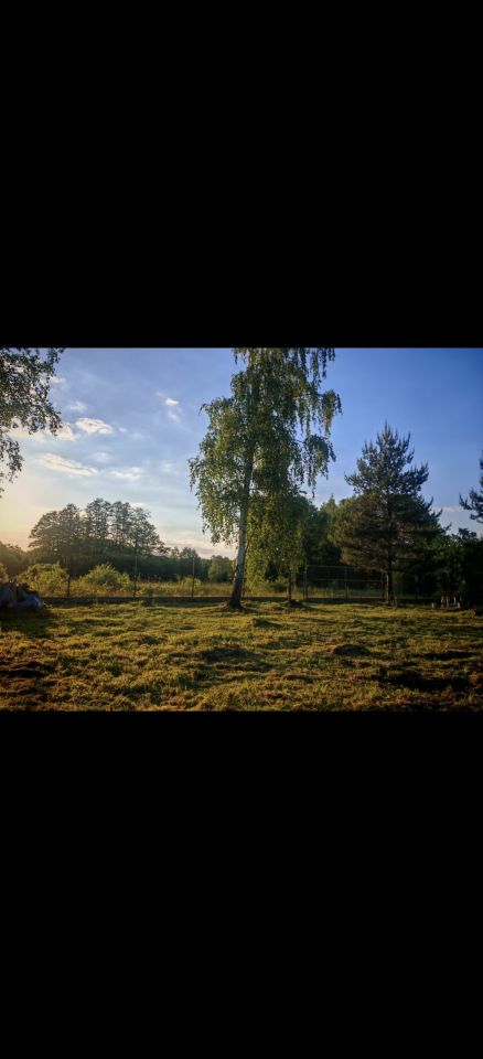 Działka budowlana Adamów-Parcel, ul. Letnia. Zdjęcie 3