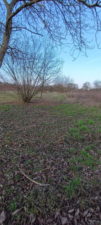 dom wolnostojący Zawichost Trójca, ul. Ostrowiecka. Zdjęcie 4