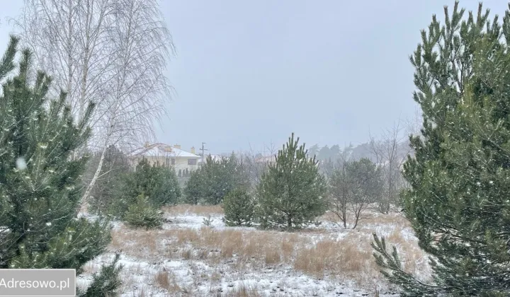 Działka budowlana Walendów, ul. Sadowa