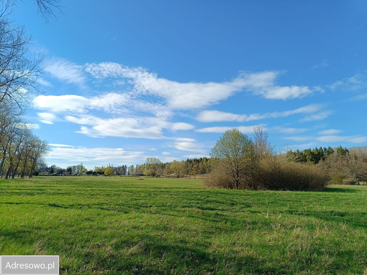 Działka budowlana Starkówek. Zdjęcie 9