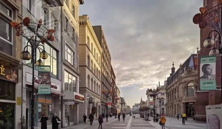 Lokal Wrocław Stare Miasto, ul. Świdnicka