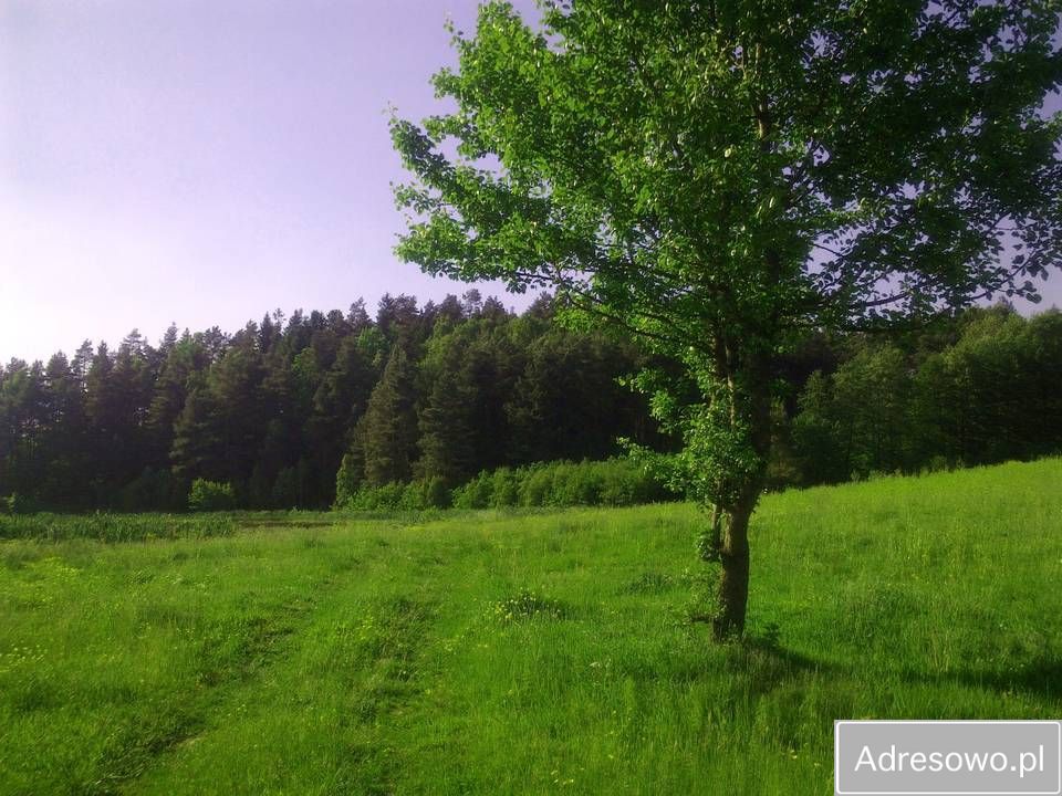 Działka budowlana Kochanówka. Zdjęcie 8