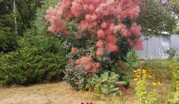 Działka rod Radom, ul. Kielecka