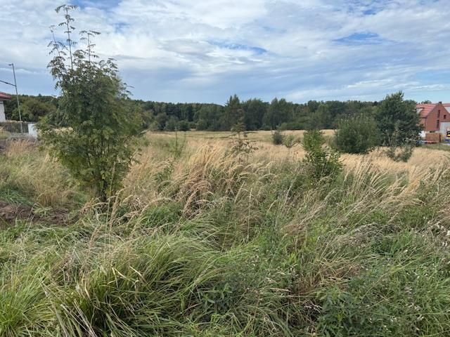 Działka budowlana Mysłowice Morgi, ul. Jana Kochanowskiego. Zdjęcie 2