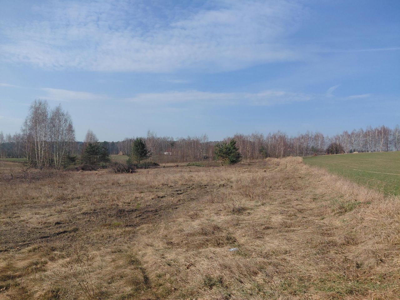 Działka rolno-budowlana Rzeczków. Zdjęcie 17