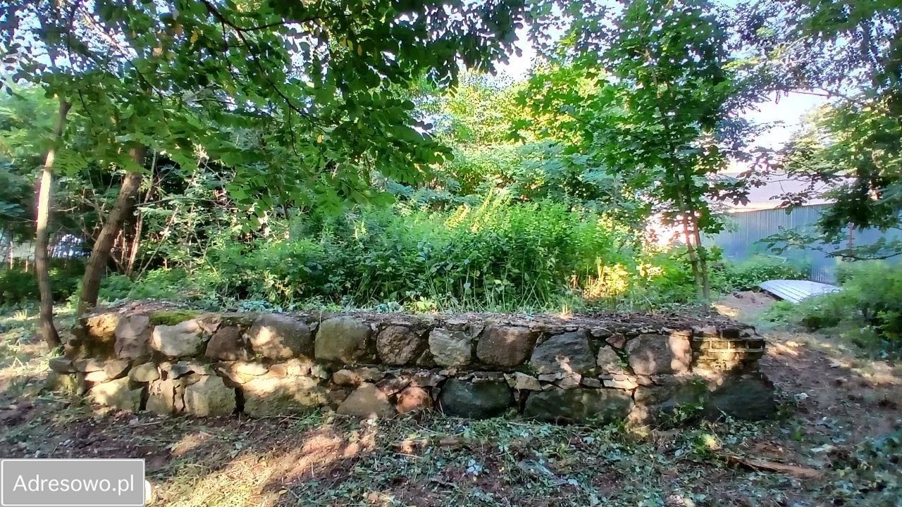 Działka rolno-budowlana Grodnia. Zdjęcie 15