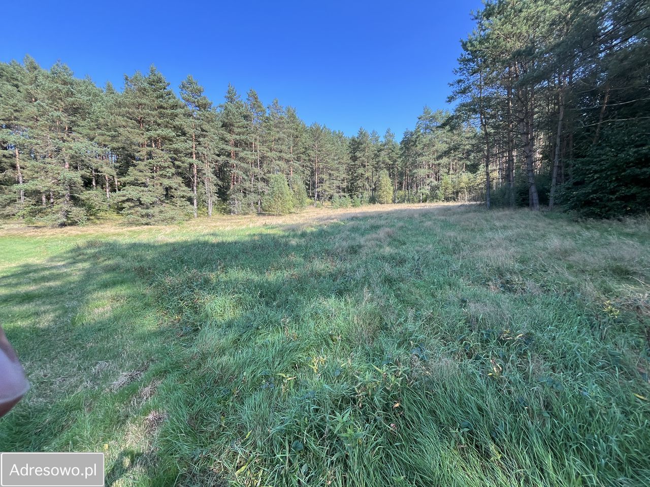 Działka rolna Orle, ul. Łąkowa. Zdjęcie 4