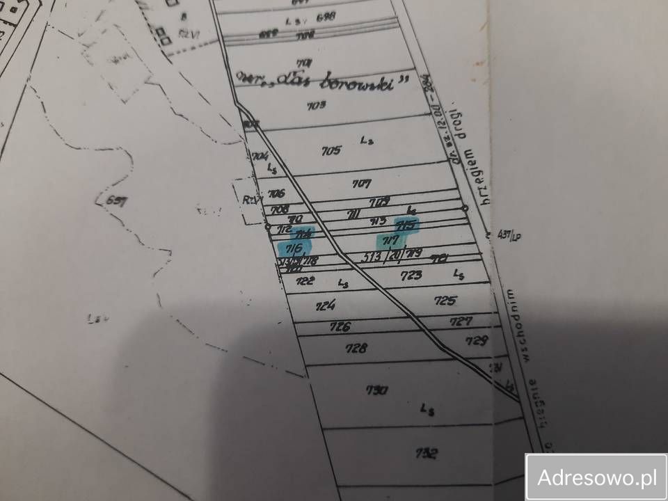 Działka leśna Wojciechów. Zdjęcie 8