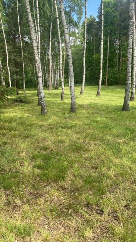 Działka budowlana Żary. Zdjęcie 1