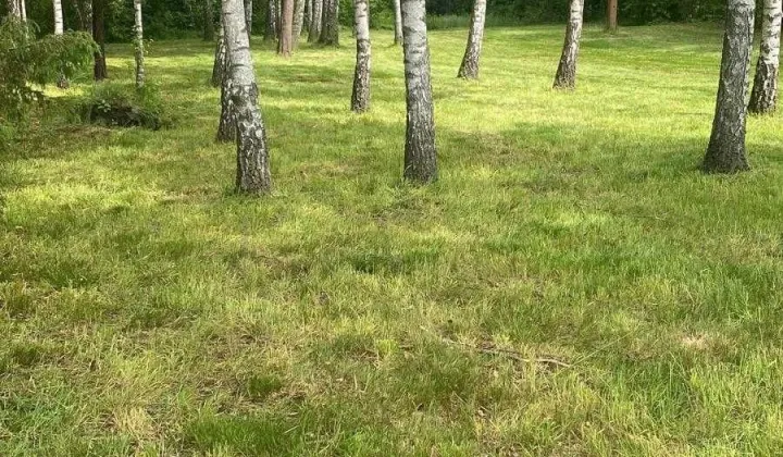 Działka budowlana Żary