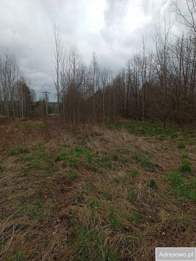 Działka rolna Płaczków. Zdjęcie 7