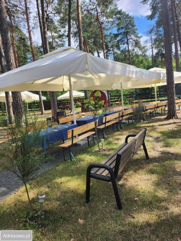 Działka leśna Boruszowice, ul. Armii Krajowej. Zdjęcie 1