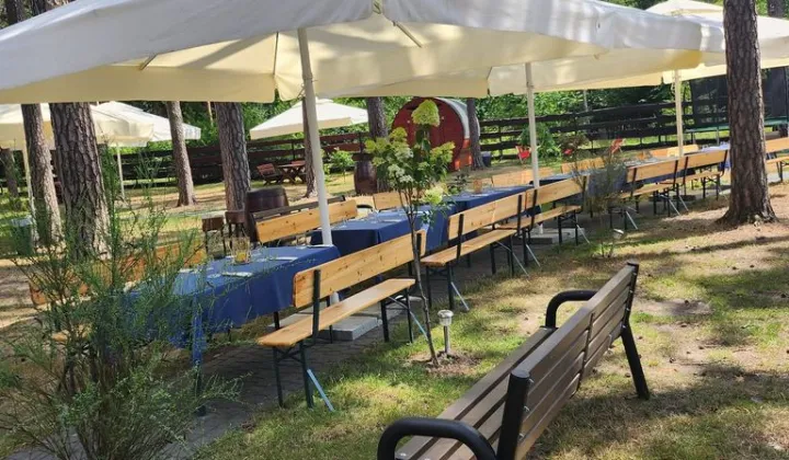 Działka leśna Boruszowice, ul. Armii Krajowej