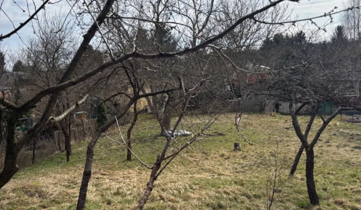 Działka rod Włocławek, ul. Jastrzębia