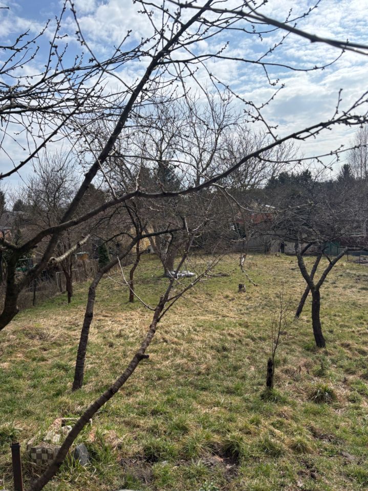 Działka rod Włocławek, ul. Jastrzębia. Zdjęcie 2