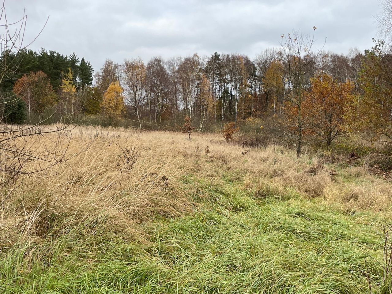 Działka rolna Chomino. Zdjęcie 17