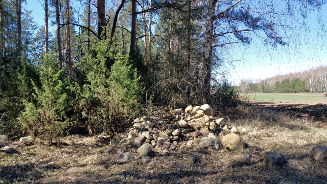 Działka Skieblewo. Zdjęcie 2