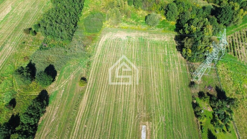 Działka rolna Bochnia Kurów. Zdjęcie 6