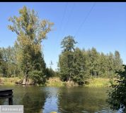 Działka leśna Wszebory. Zdjęcie 2