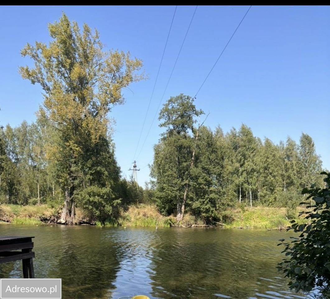 Działka leśna Wszebory. Zdjęcie 3