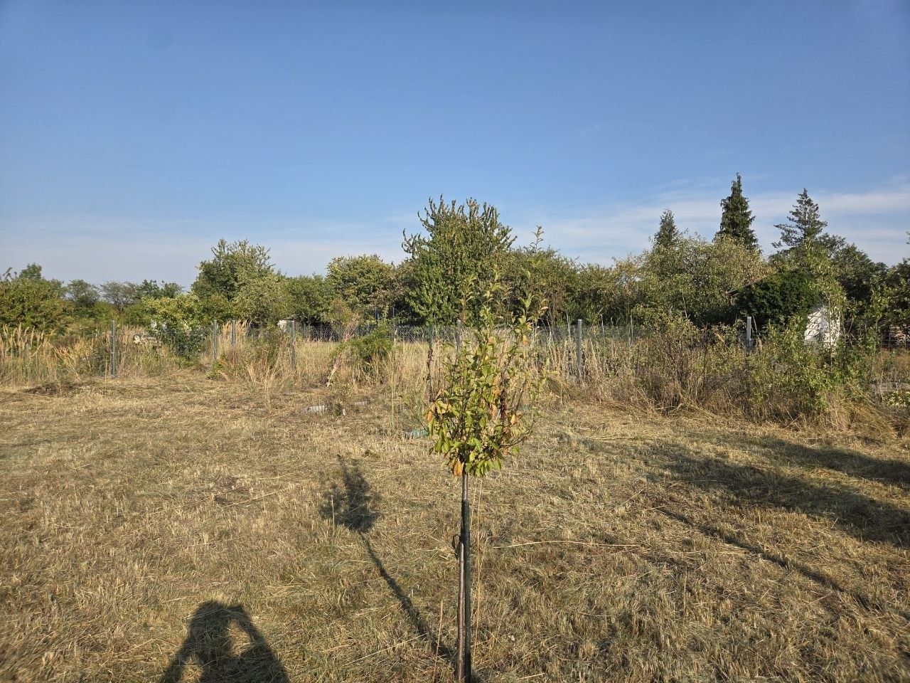 Działka rod Pieszyce, ul. Władysława Hermana. Zdjęcie 5