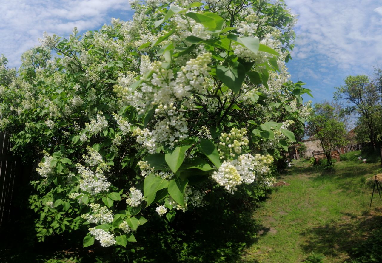 Działka rolno-budowlana Biedrzychów. Zdjęcie 2
