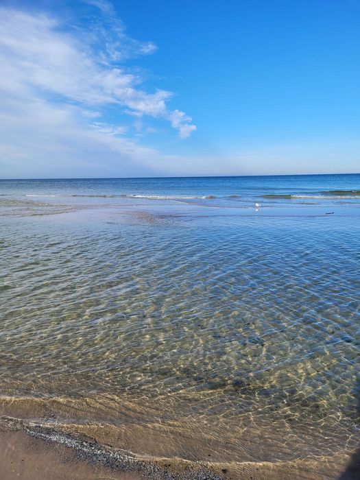 Działka rolna Karwia. Zdjęcie 2