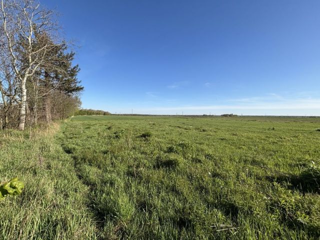 Działka budowlana Paczyna. Zdjęcie 1