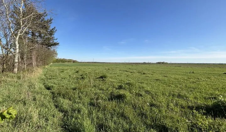 Działka budowlana Paczyna