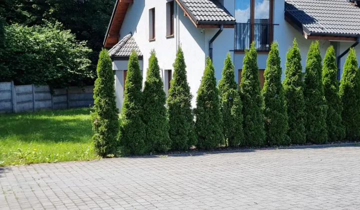 dom szeregowy, 7 pokoi Bielsko-Biała Stare Bielsko, ul. Wita Stwosza