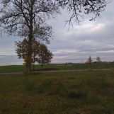 Działka rolna Mazuchówka. Zdjęcie 4