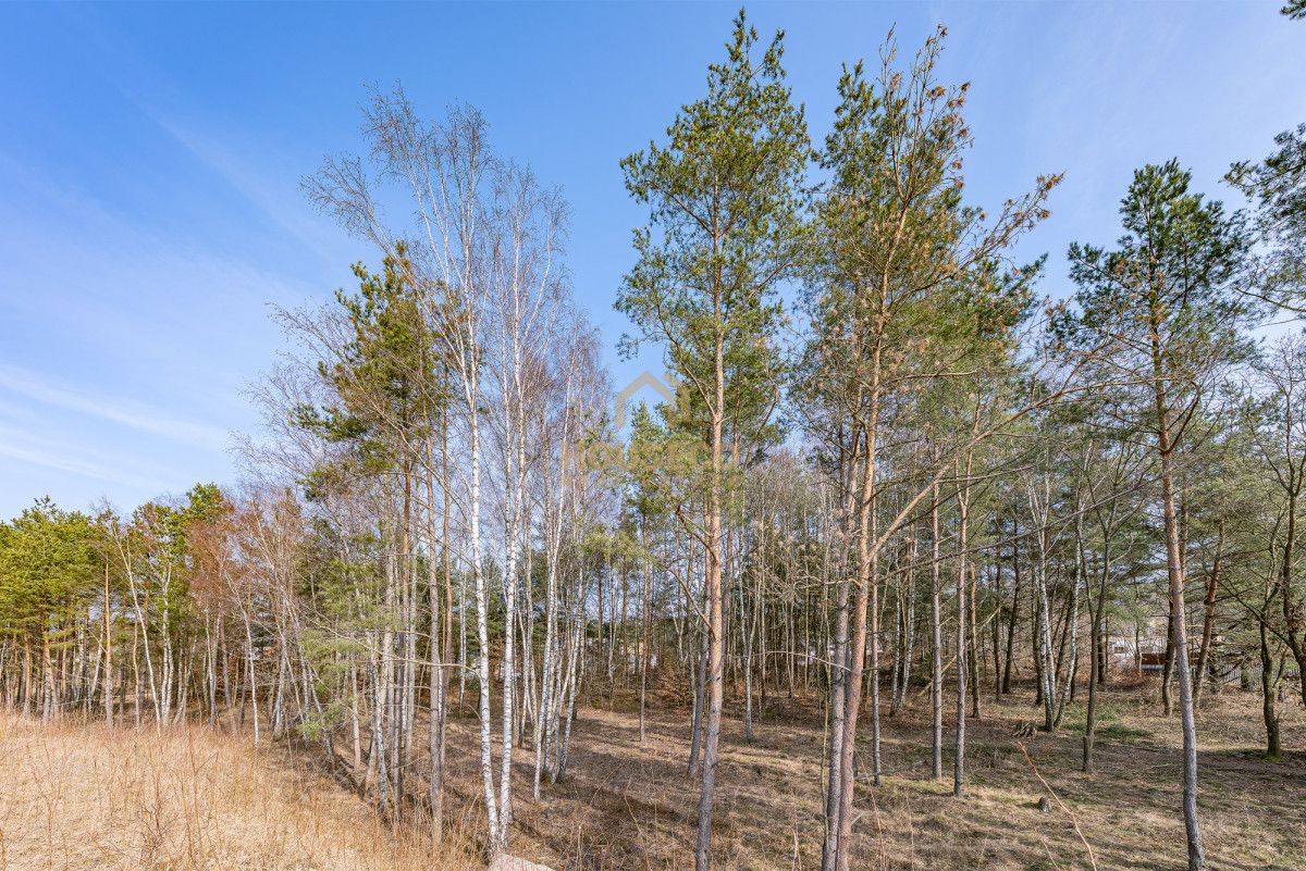 Działka budowlana Gdynia Dąbrowa, ul. Leśna Polana. Zdjęcie 8