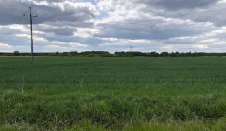 Działka rolna Zielona Góra Zawada